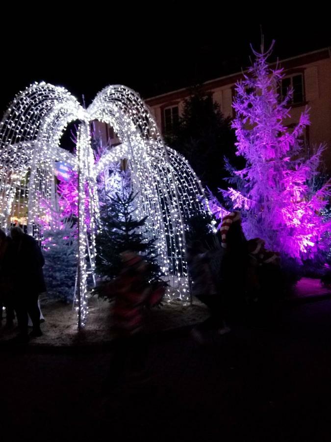 Home-Sweet-Home Haguenau Eksteriør billede